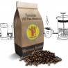 Tanzania - AA Plus 